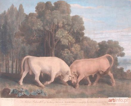 STUBBS Townley George | BULLS FIGHITING, 1788