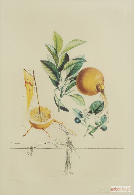 DALI Salvador | PAMPLEMOUSSE ÉROTIQUE (GREJPFRUT EROTYCZNY), Z CYKLU FLORDALI, 1969/70