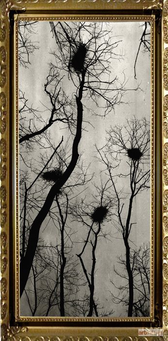 HERZOG Paweł | TREES(2009)