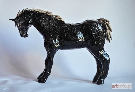 ŚLIWA Aneta | Koń czarny, 2018