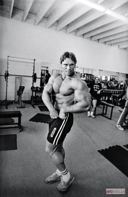 HINZ Volker | Arnold Schwarzenegger