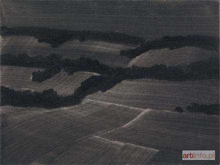 BUJNOWSKI Rafał | Pejzaż, 2005