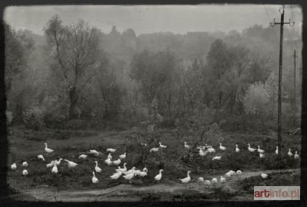 HERZOG Paweł | Pejzaż (2009)