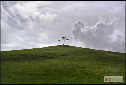 NIEZGODA Jędrzej | Symetria