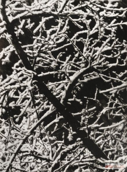 RYDET Tadeusz | Snow Arabesques from the Forms series