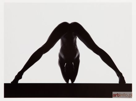 WANTUCH Wacław | Untitled (Nudes 23) , 2008/2016