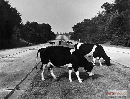 JENSEN Frank K. | Autostrada do Szczecina, 1963