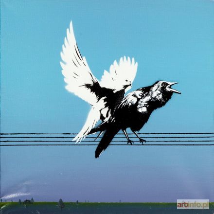 CAMPIO  | TRIUMPH, 2013 r.