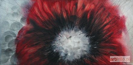 ŚWIGULSKA Mariola | Kwiat, 2011