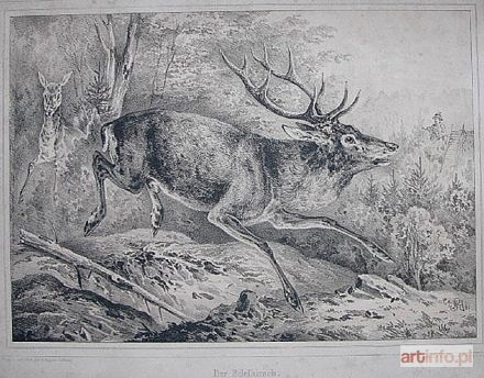 SCHLEICH August | Jeleń (1844)