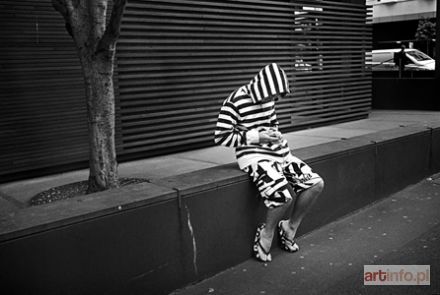 SOKÓŁ Łukasz | Zebra, Sydney 2008