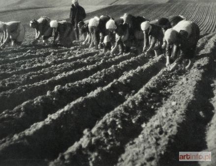 HARTWIG Edward | Planting Potatoes (also known as Beet Planting)