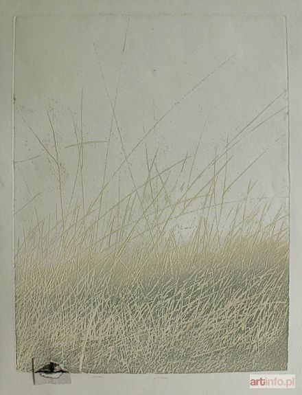 PIETSCH Andrzej | Szron (1987)