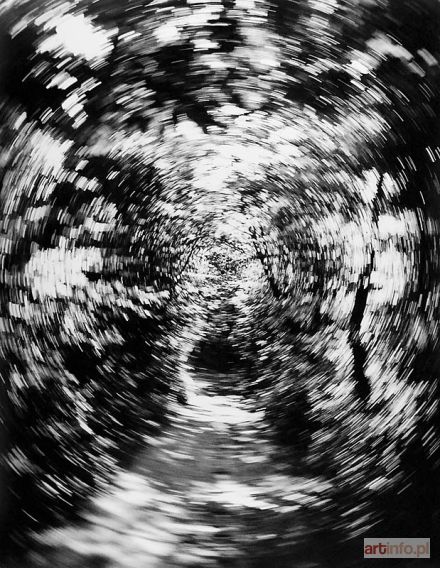 PIERŚCIŃSKI Paweł | Vortex from the Trees series