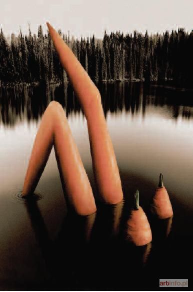 SZURKOWSKI Leszek | CARROT LAKE , 1994.