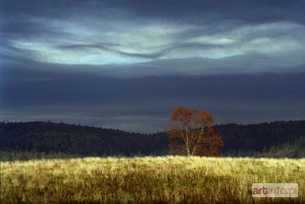 RATAJCZYK Urszula | Bieszczady (2002)