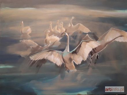 SZAREK-MICHALAK Marta | SWANS, 2019