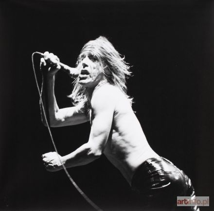 LEFRANC David | Iggy Pop