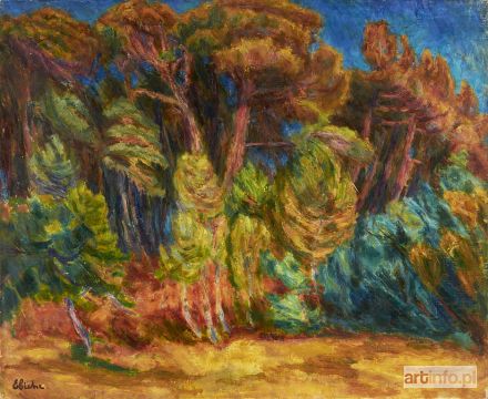 EIBISCH Eugeniusz | PAYSAGE DE PROVENCE