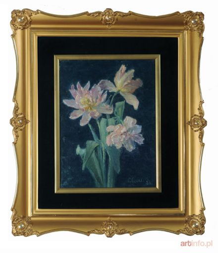 CARL Clara Wilhelmina | TULIPANY, 1926