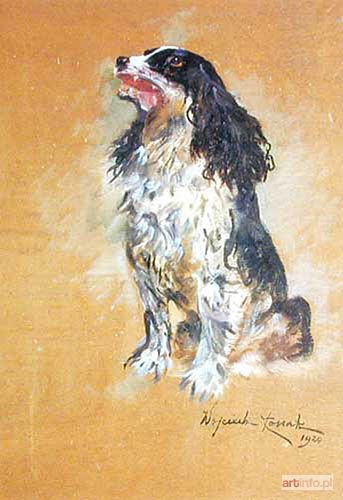 KOSSAK Wojciech | SREBRZYSTOSZARY COCKER-SPANIEL, 1929 r.