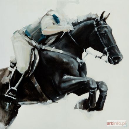 TKACZYK Adrian | Rider 13, 2015 r.