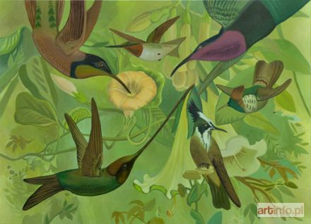 SZMYD Longin | Kolibry 1, 2014