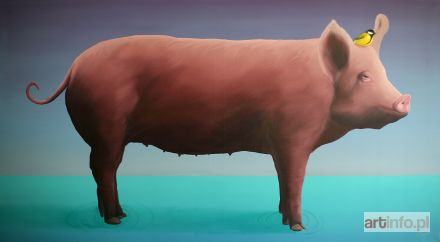 CAMPIO  | SEA BACON, 2018