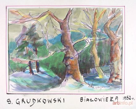 GRUDKOWSKI Sergiusz | Białowieża, 1982