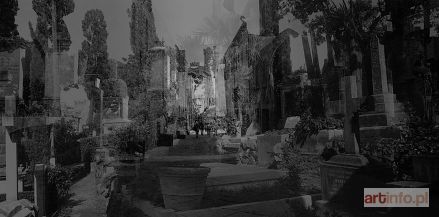 PLEWIŃSKI Maciej | Roma - Cimitero acattolico, 2012