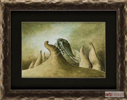 TOMCZYK Ryszard | Chrabąszcz i biomy, 1967