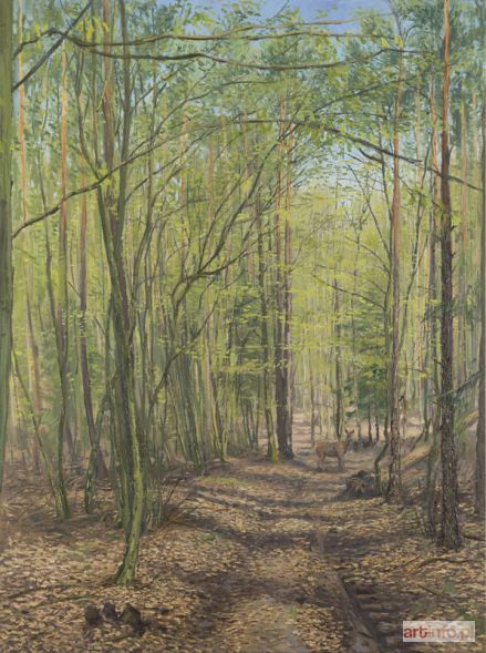 PODLODOWSKI Jakub | Early spring in the forest with doe, 2016 r.