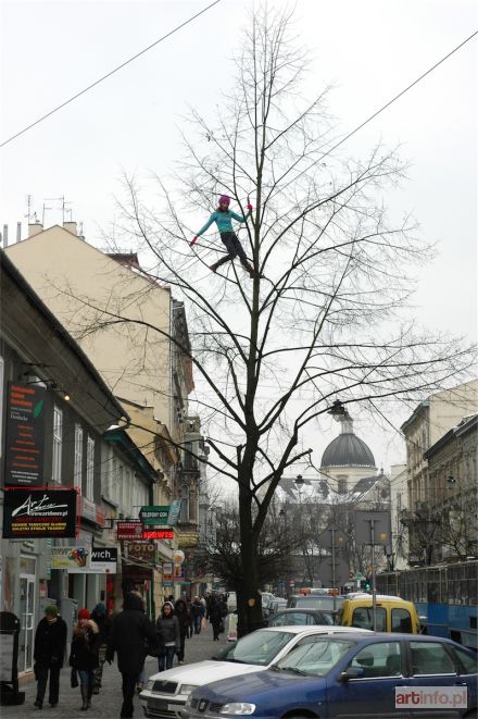 MALIK Cecylia | 137 Drzewo, Lipa, 08 02 2010, ul Karmelicka, 2010