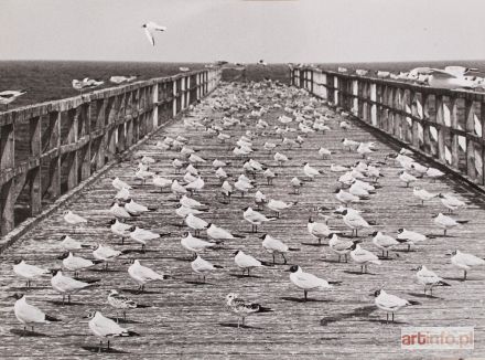 SZALOW Robert | MEWY NA MOLO, ok. 1987