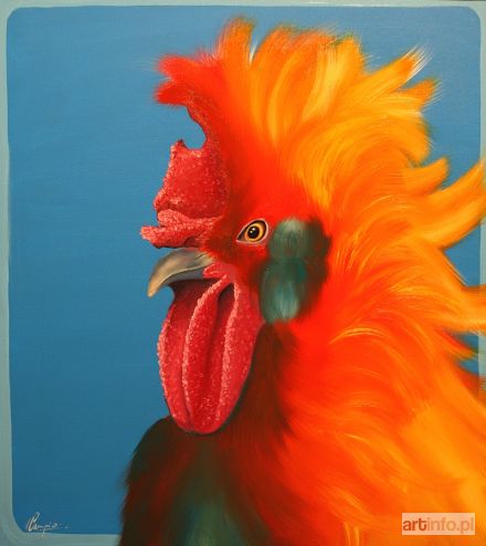 CAMPIO  | ROOSTER, 2018