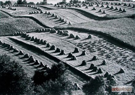 SPAŁWAN Jan | Żniwa, 1980