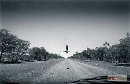 SOKÓŁ Łukasz | Outback Australia, 2006