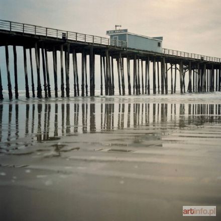 TARASIEWICZ Urszula | Pier