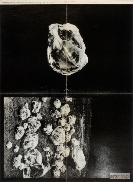 SZAPOCZNIKOW Alina | Exposition imaginaire nr 1, 1970