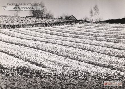 PIERŚCIŃSKI Paweł | WIOSNA W KRAJNIE, 1961