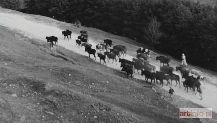 SEMPOLIŃSKI Leonard | Pod górę. Fotografia cz.-b. 1955