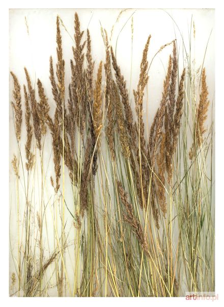 SUROWIEC Łukasz | Tomasica koło Prijedoru, Bośnia i Hercegowina, 2016
