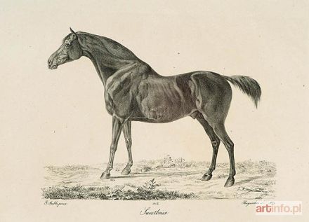 STUBBS George | KONIE. Zespół 7 litografii, ok. 1820