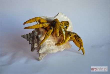 ŚLIWA Aneta | Krab żółty w muszli, 2018