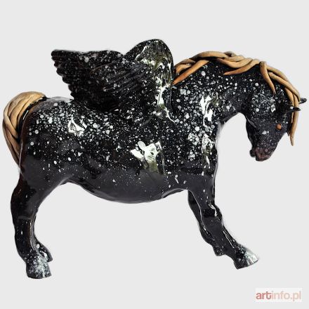 ŚLIWA Aneta | Czarny pegaz, 2017