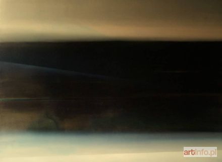 SZYNAL Natalia | Z cyklu pejzaż niepraktyczny