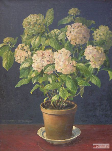 EJSMOND Stanisław | Nature morte au pot d`hortensias (1912)