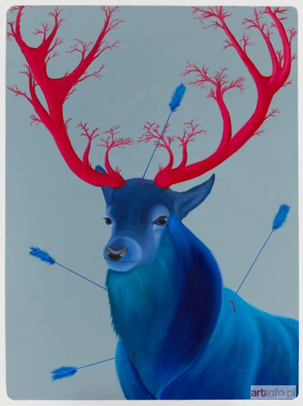 CAMPIO  | Polowanie, 2017 r.