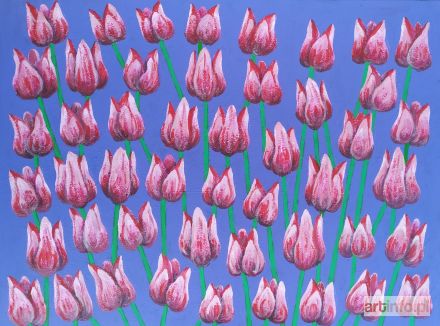 FRĄCEK Małgorzata | Różowe tulipany, 2019