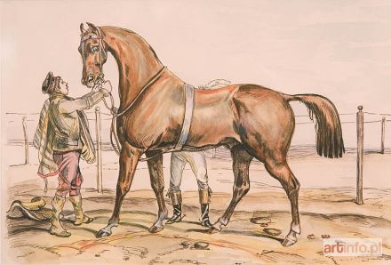 NOWAK Dorota | Klacz arabska